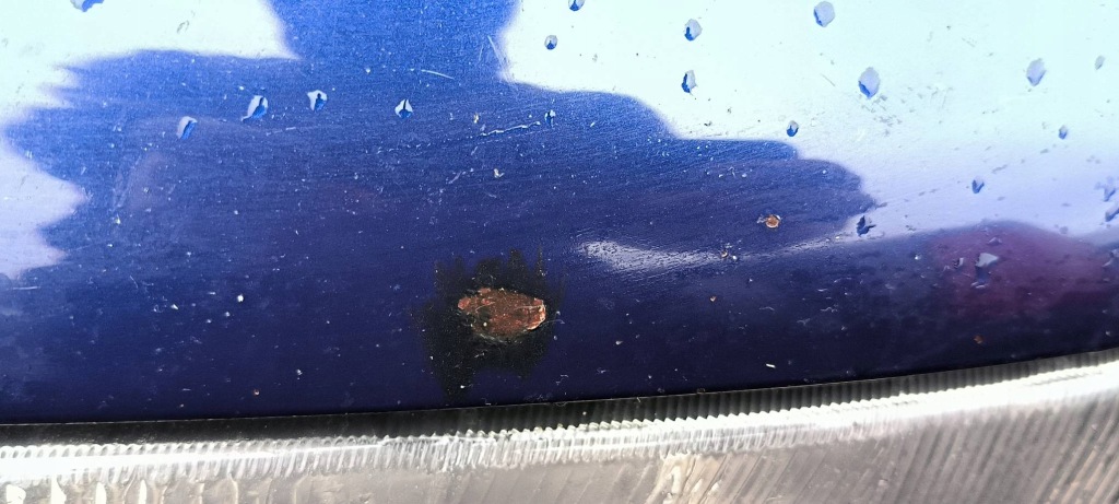 фото №9, Капот lz5k audi a4 b5