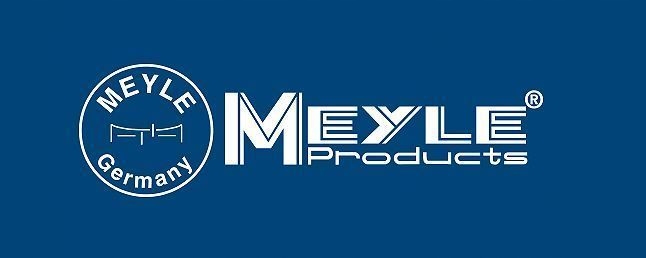 Кулькова опора важеля renaultp. scenic 97- le/ Доставка