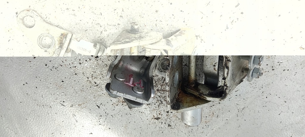 фото №3, Петля правый задняя renault clio iii 07r