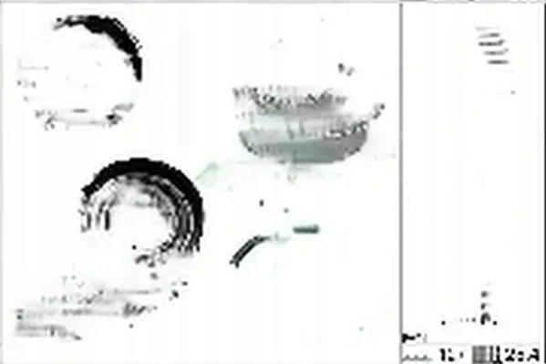 Купить Набор распределительного вала + насос водяная 530 0332 31 ina