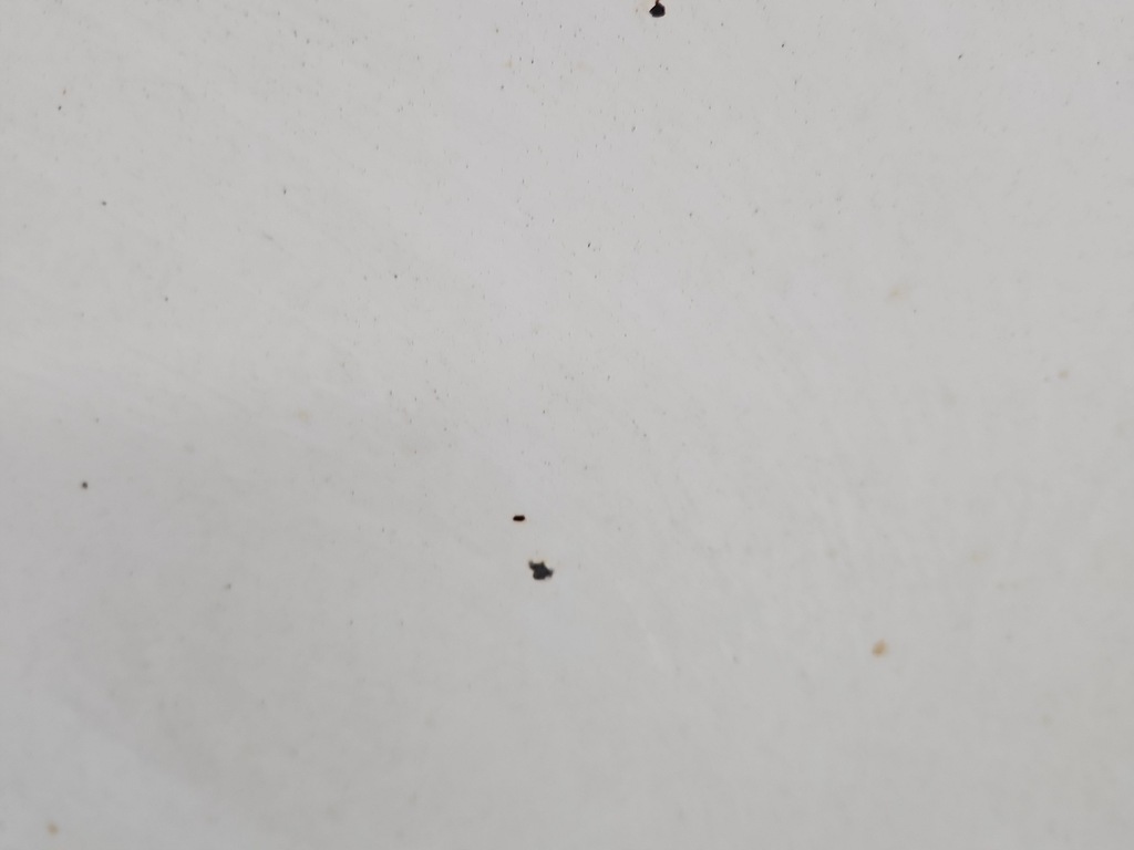 фото №3, Капот передняя renault master ii 03-10 белый