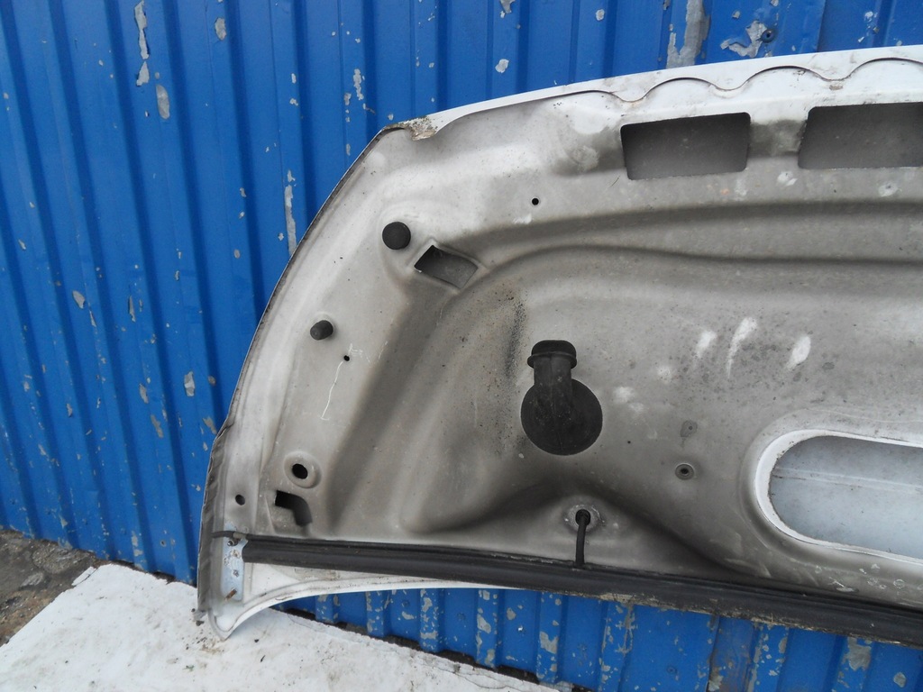 фото №11, Expert ii 06-16 капот передняя перед белый ewpa