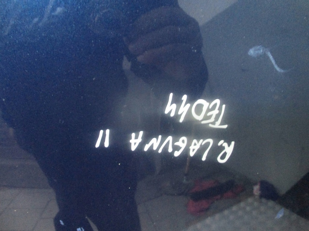 фото №5, Капот renault laguna ii ted44