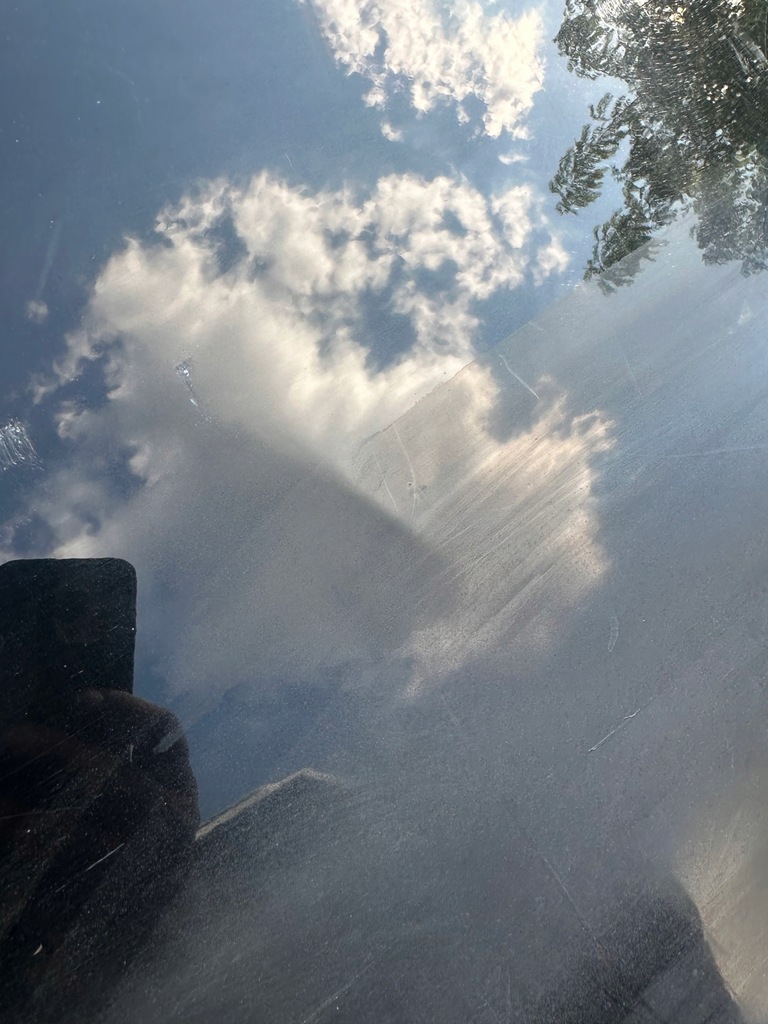 фото №2, Двері правий задня renault scenic iii