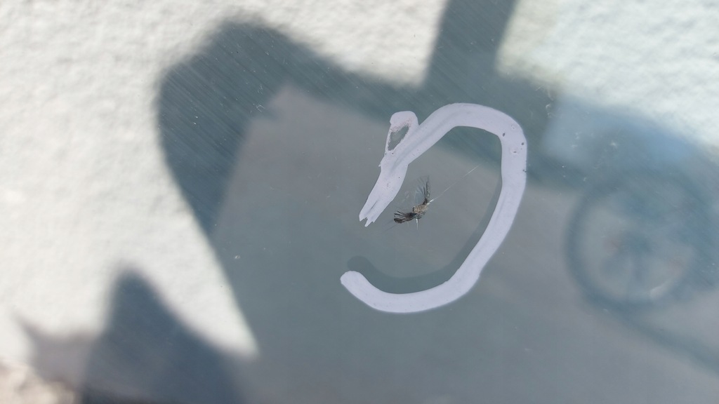 фото №6, Citroen c4 ii b7 стекло лобовое передняя оригинал