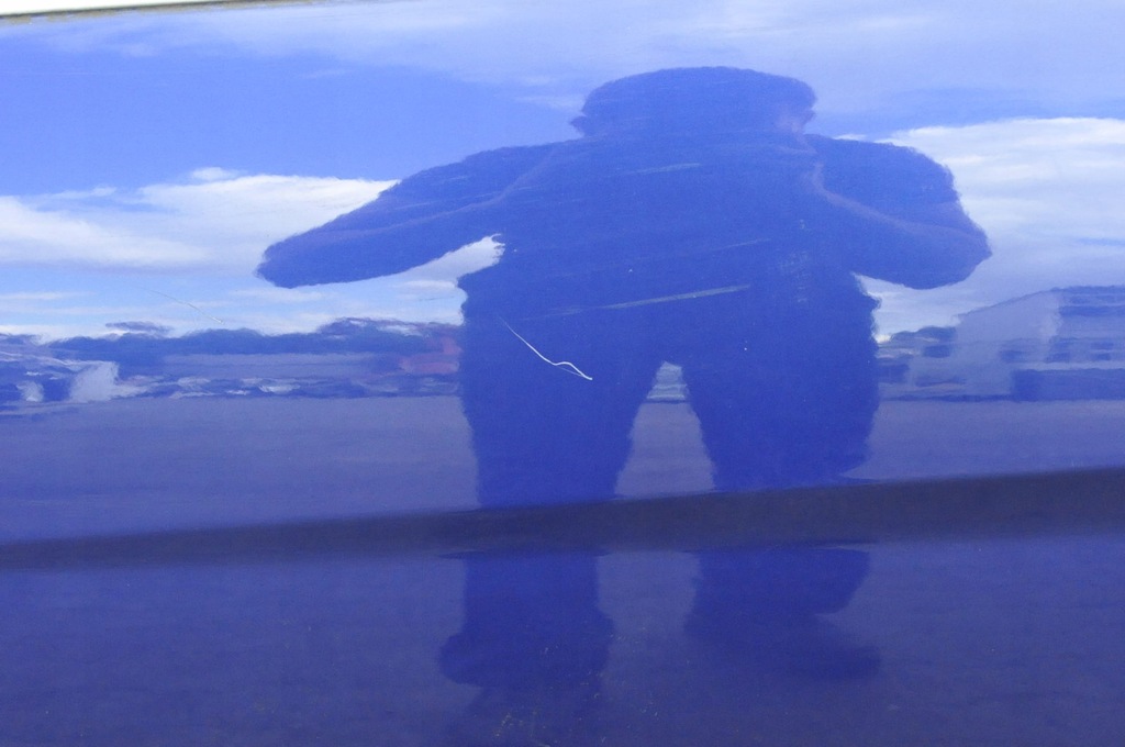 фото №12, Ford grand c-max ii двері лівий перед ліва передні