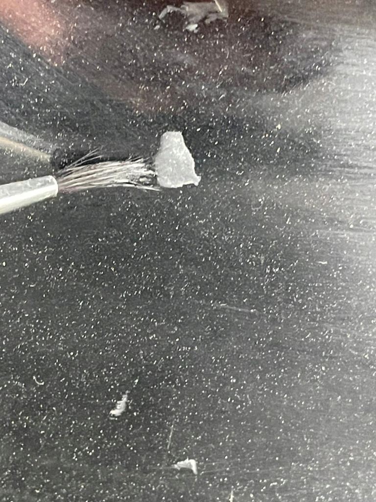 Кришка багажника багажника задній задня комплектна kia sportage iv Київ