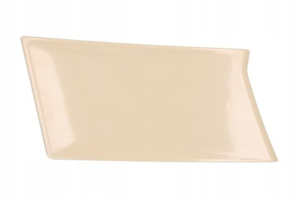 фото №1, Заглушка решётка scania r s 2017 правая 2324347