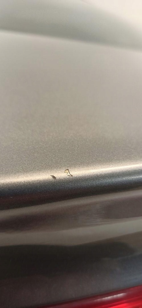 фото №7, Audi a5 8t крышка багажника багажника sportkack lx7r