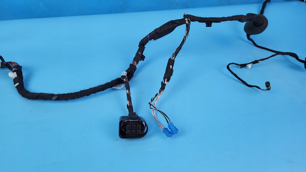 фото №10, Bmw 5' g31 3.0 540d xdrive 18r жгут дверь левый задняя 9370966