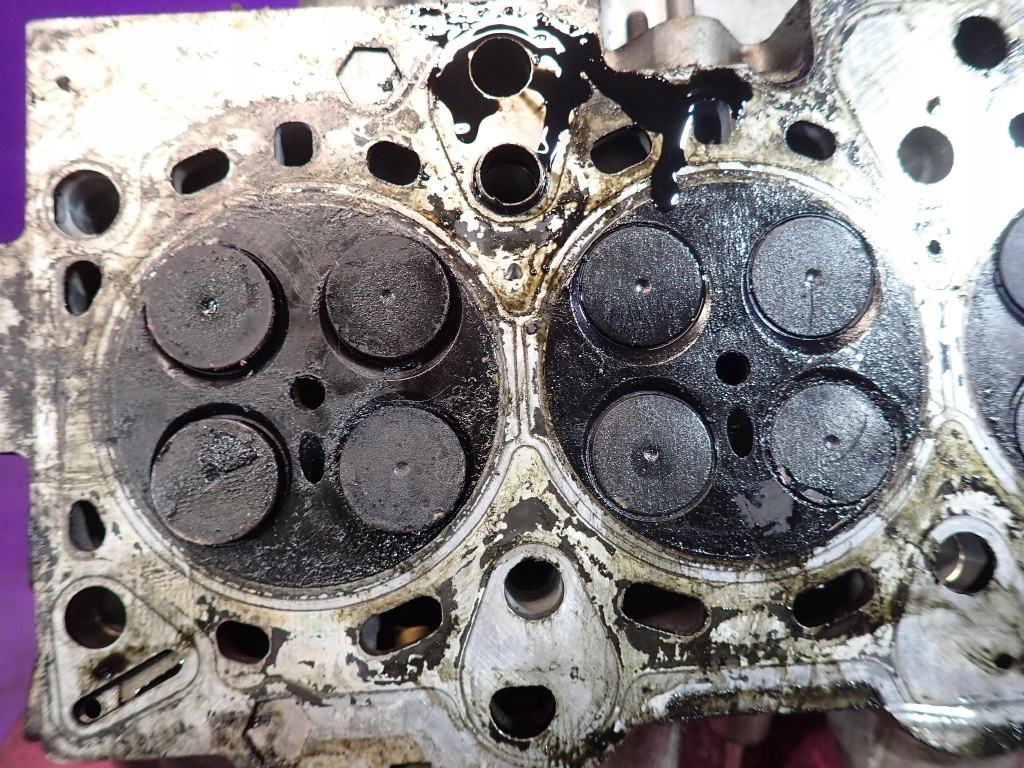 Bmw e39 2,5 d 525d m57d25 163km 24v головка 176915012 m57 Київ