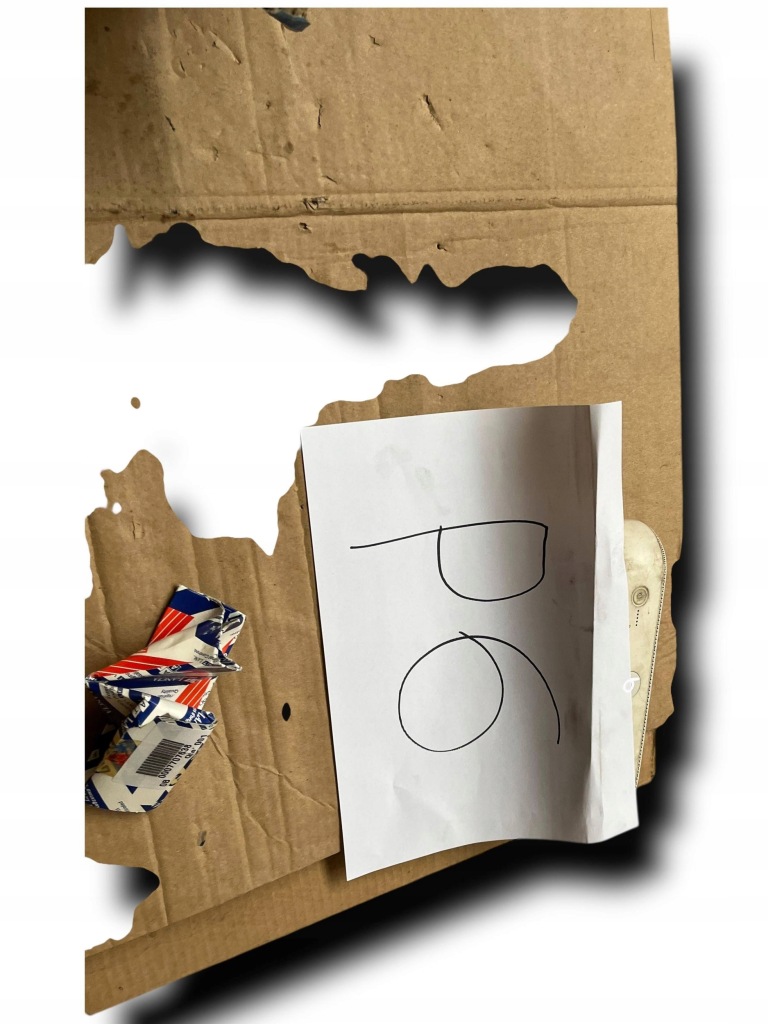 фото №5, Защита солнцезащитная lancia thesis 156033624