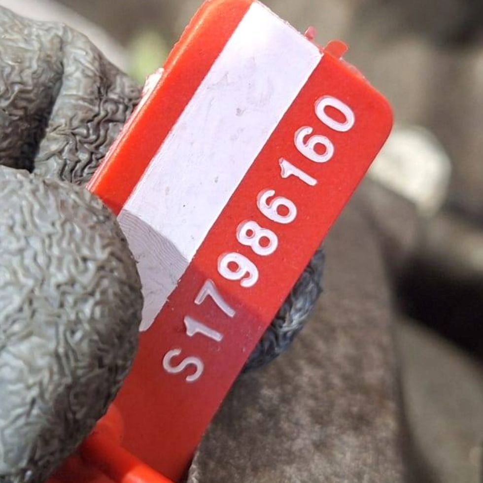 фото №9, Коробка передач передач редуктор aj8-000 1xn0b renault koleos 2.0 dci 4x4