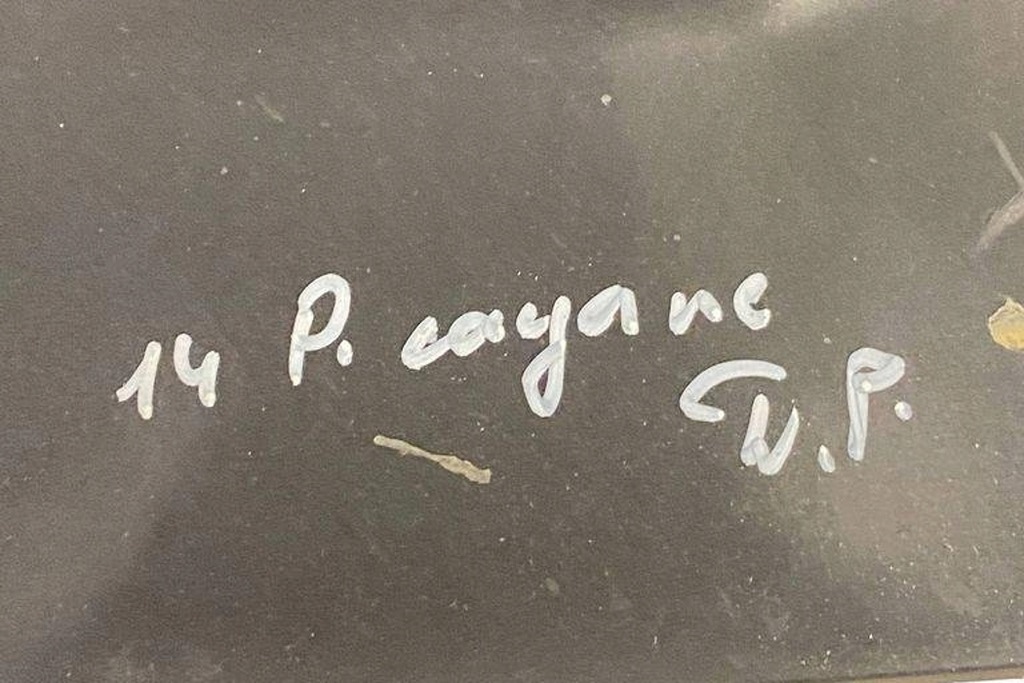 фото №8, Верхний защита двигателя porsche cayenne 92a 7p5806442d 3.6l бензиновый 220kw