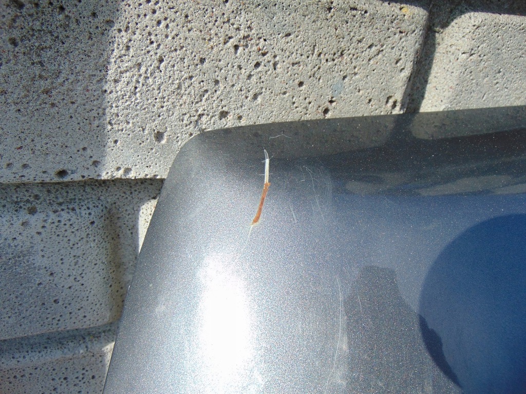 фото №8, Кришка багажника багажника задня hyundai santa fe ii