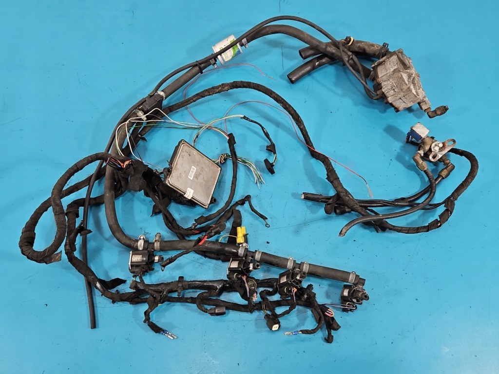 Купити Електропроводка lpg газу stag4 qbox basic