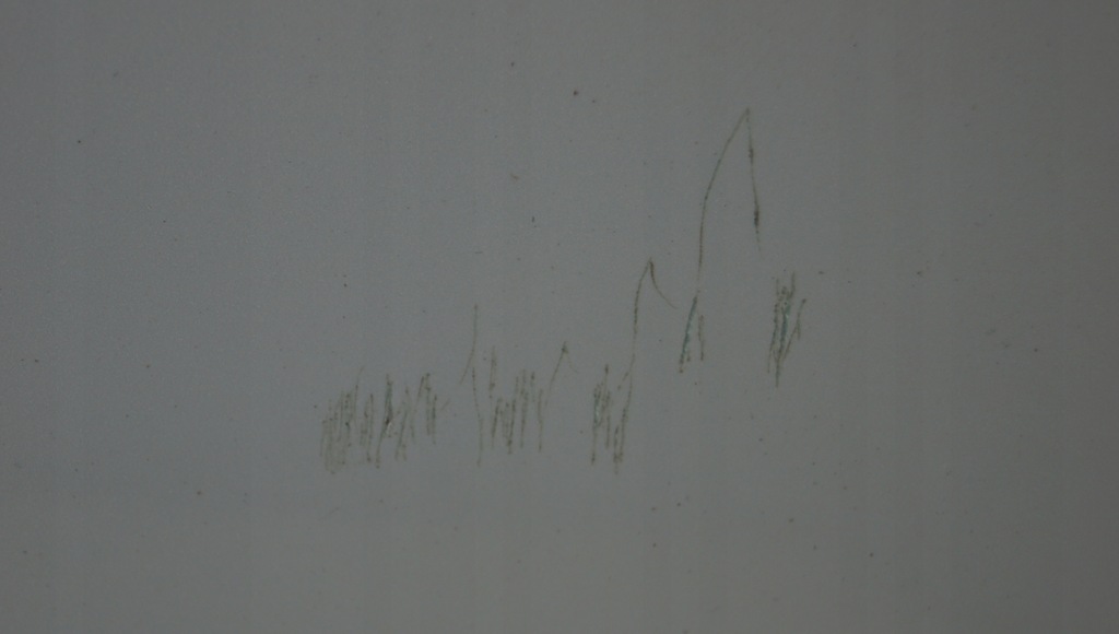 фото №10, Двері лівий перед suzuki swift mk6 3d