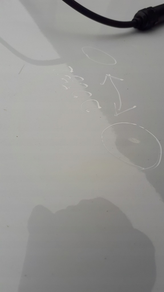 фото №6, A4 b8 s4 дверь левый задняя задние ls9r sedan