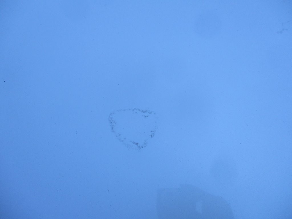 фото №4, Дах kwe citroen ds4