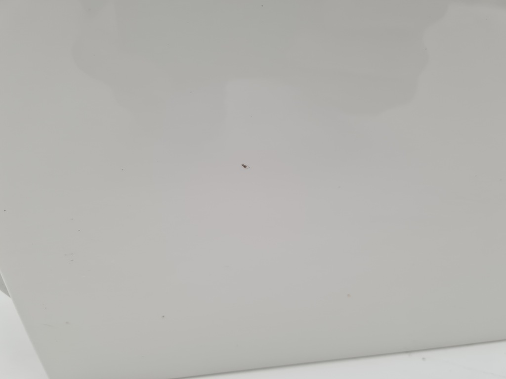 фото №11, Mercedes b-klasa w246 дверь левый задняя 650