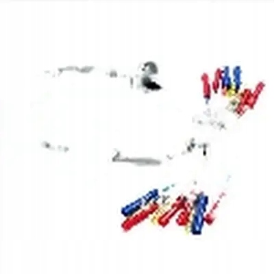 фото №1, Вентилятор окон team heko do opla signum 5d 2003-2008 4 szt. перед + задняя