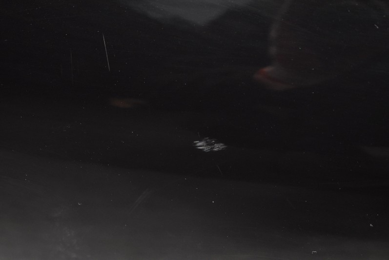 фото №7, Кришка багажника багажника задня задня lz9y audi q7 4l 05-09