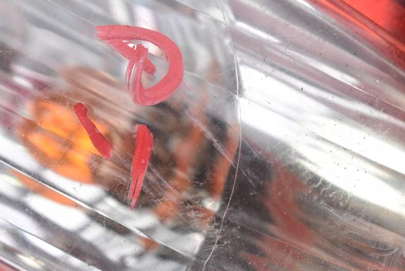 фото №10, Лампа правая задняя задняя 4851a nissan maxima a33 00-05