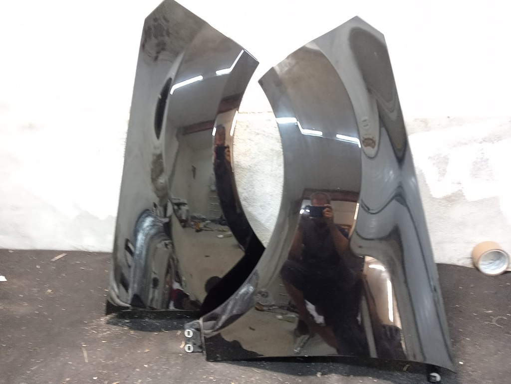 фото №1, Крила передній перед лівий ford ecosport mk2 lift