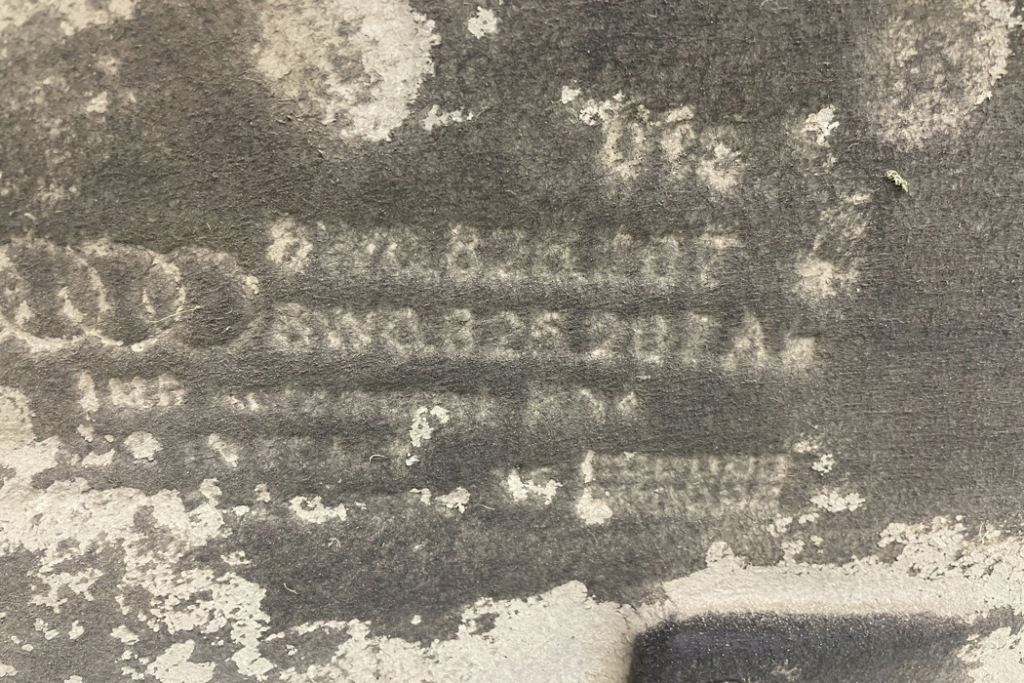 Левая накладка подвеска audi a4 8w2, b9 8w0825207 2.0l дизель 110kw 2015 Оригинал