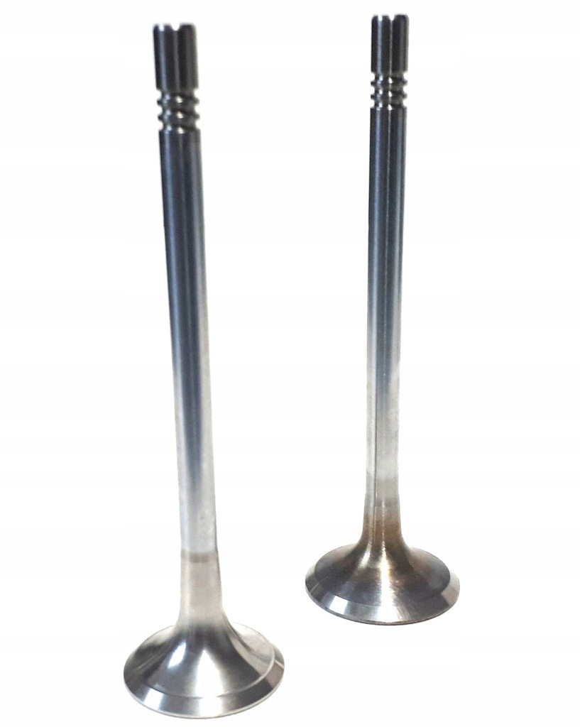 фото №10, Клапаны впускные+ выпускной. kpl.fab iii,citigo 10 +04e