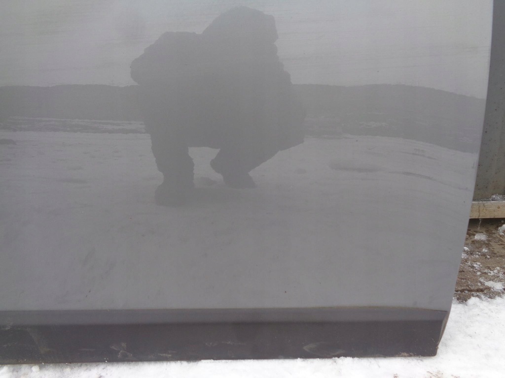 фото №8, Двері lancia delta 3 iii 2008-2014r. праве передні 617