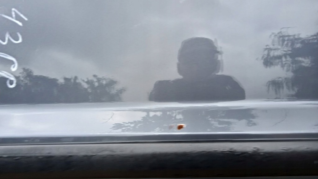 фото №6, Ford fusion mk1 дверь перед правый m2