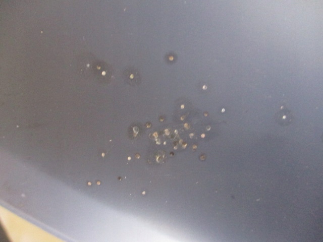 Купити Citroen c4 2 b7 бампер передній версія ксенон новий оригінал. 9676285080a