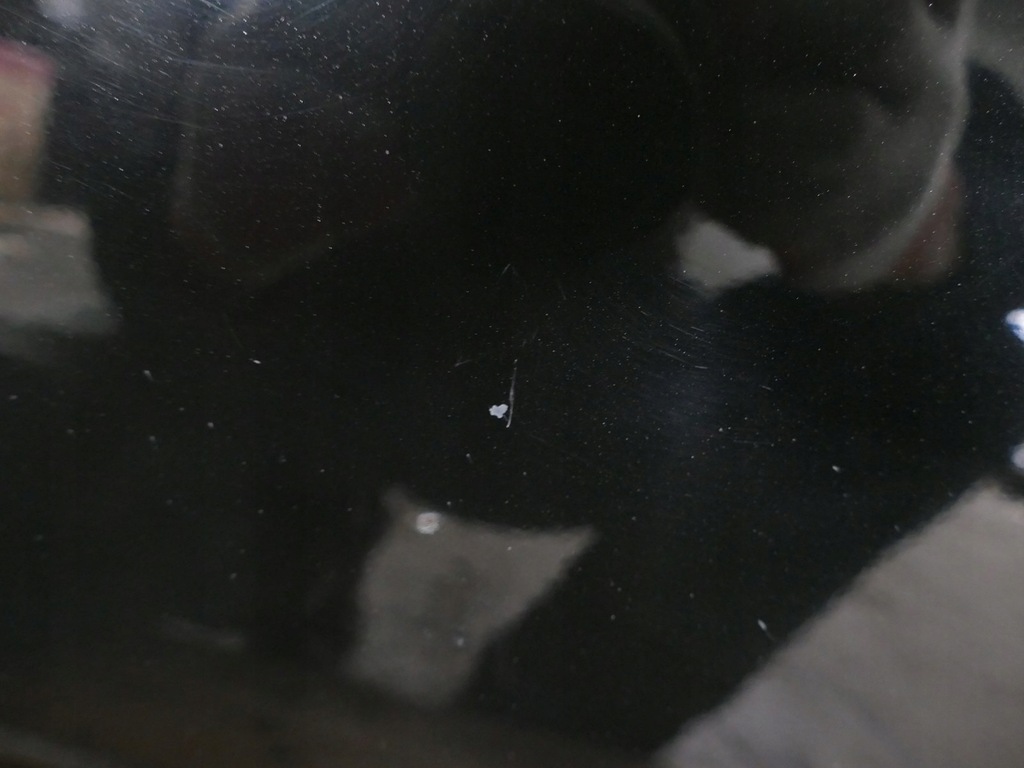 фото №12, Nissan pathfinder r51 lift дверь левый перед gn0