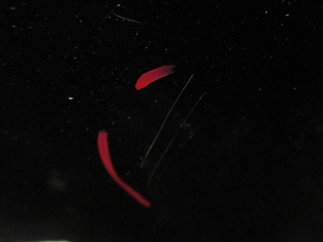 фото №4, Ds3 crossback дверь левая передние ktvd