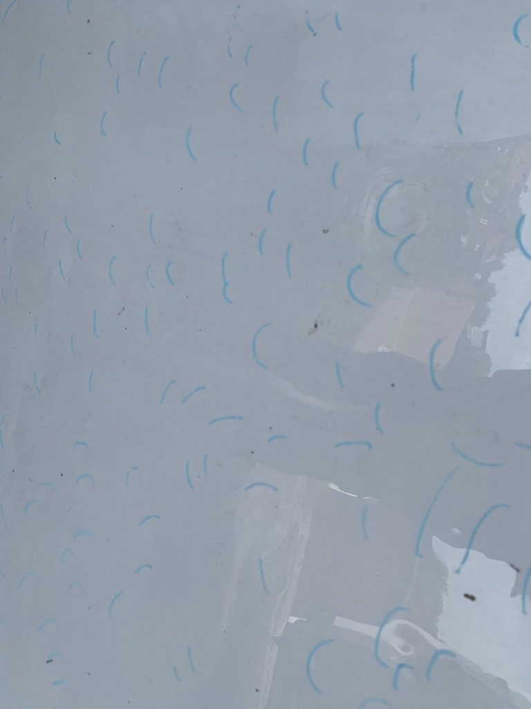 фото №3, Капот toyota corolla e21 grad