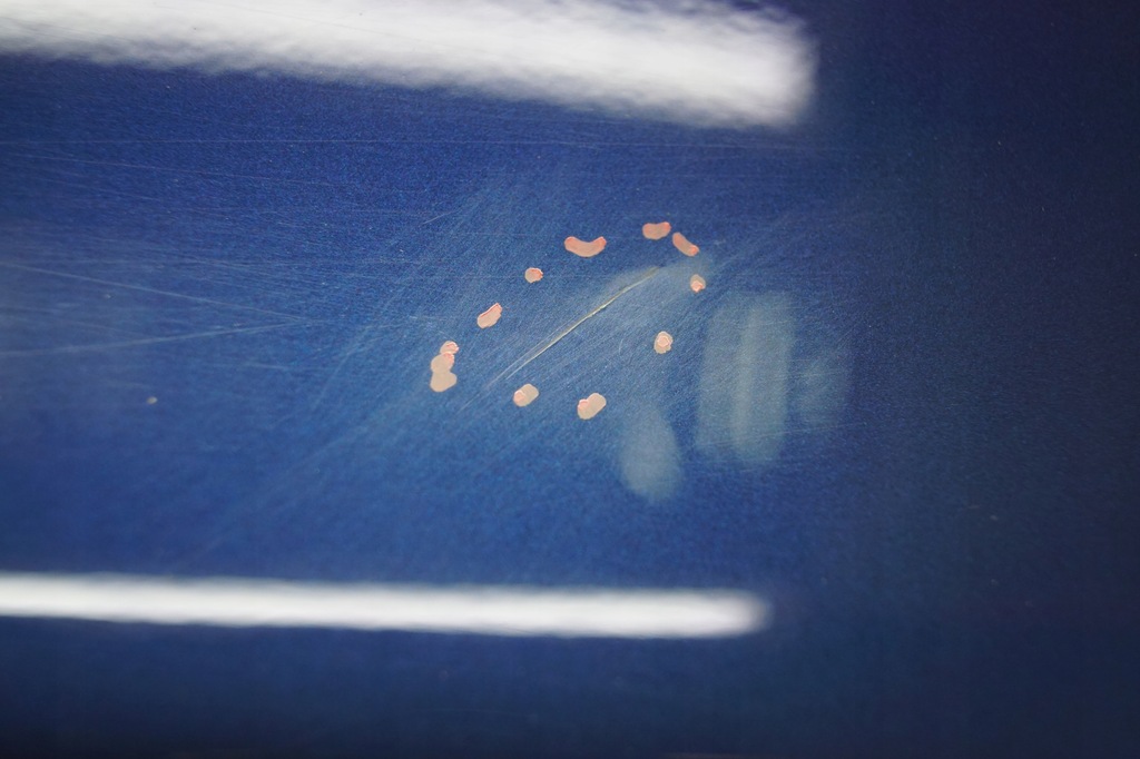 фото №11, Дверь правый перед bmw x3 e83 a07