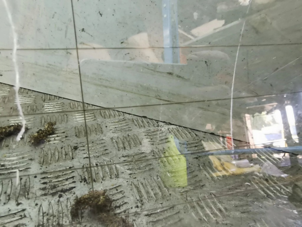 фото №16, Стекло задняя bmw 5 e60 e61