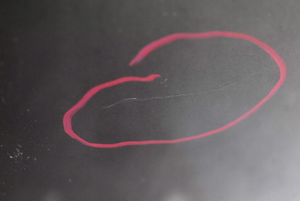 фото №11, Капот крышка двигателя графитовая audi q5 8r lift 12-17