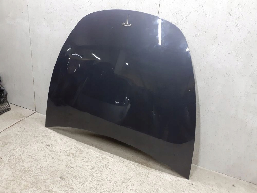 фото №3, Капот tesla y model y