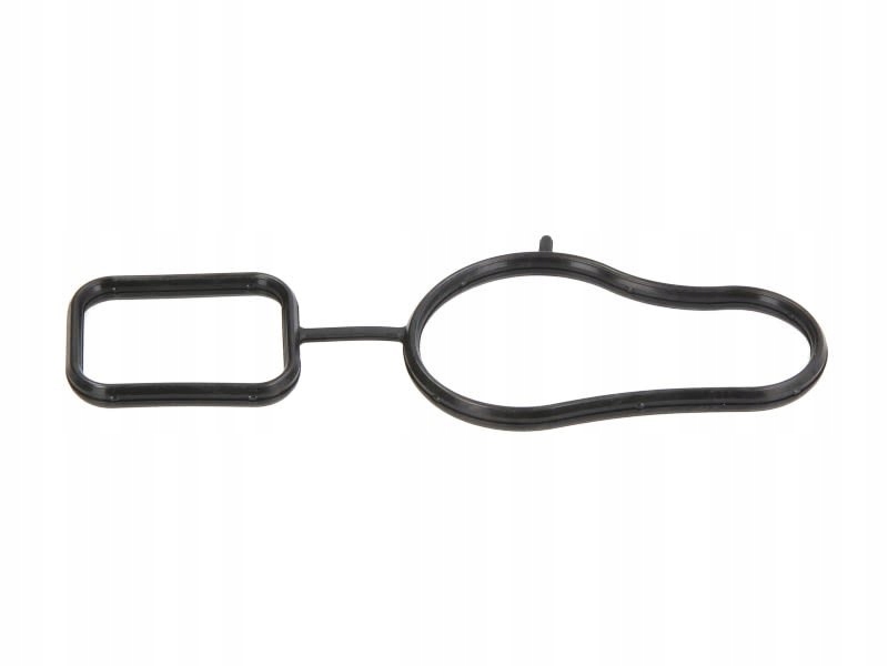 фото №9, Прокладка насоса wody