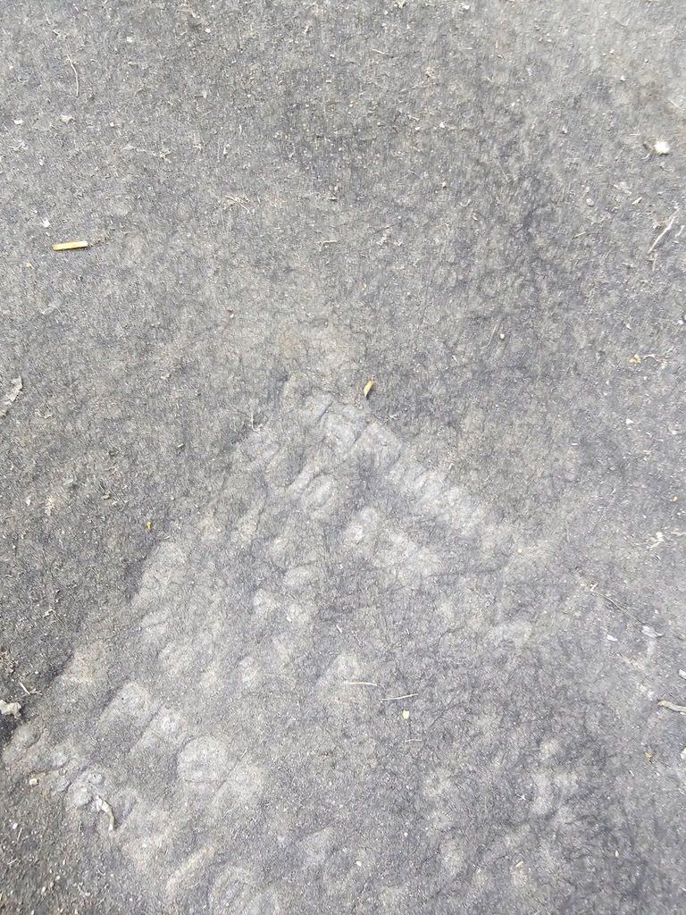 фото №10, Захист підвіска середня права велика audi q3 8u 8u0825208