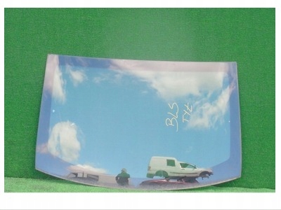 фото №1, Cadillac bls 08r sedan - скло задня задня