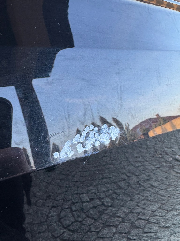 фото №9, Audi a8 d5 двері передні праве