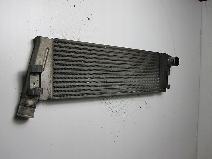 фото №7, Інтеркулер renault grand scenic ii 1.9dci 04r