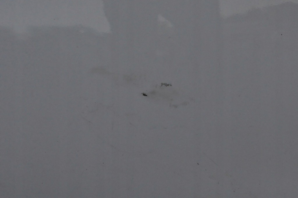 фото №12, Opel insignia a двері лівий перед ліва передні