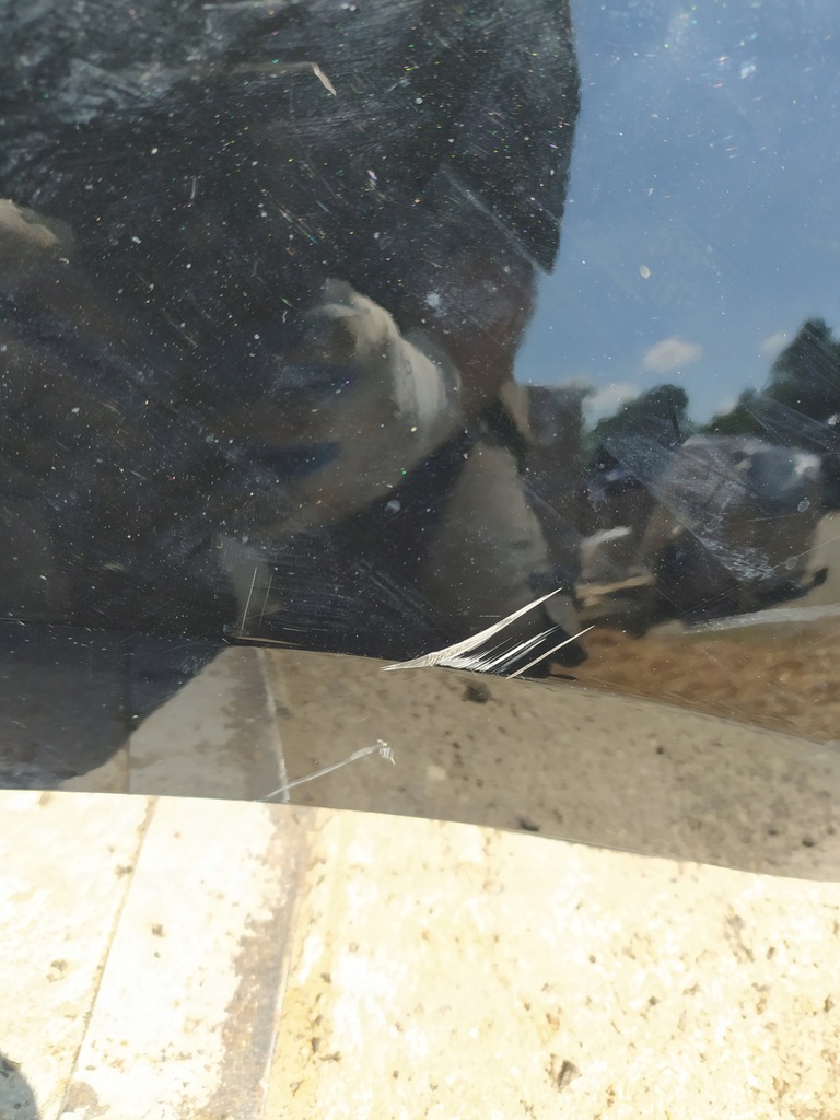 фото №10, Seat ibiza v 6f бампер задняя 17-