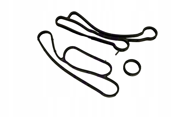 фото №2, Fast ft48938 прокладка, радиатор масляная