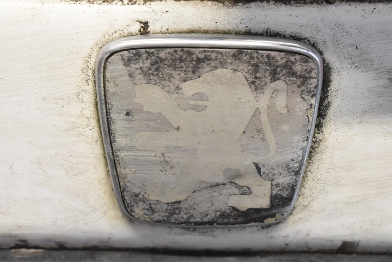 фото №9, Кришка багажника багажника задня задня білий peugeot partner 1 i 96-02