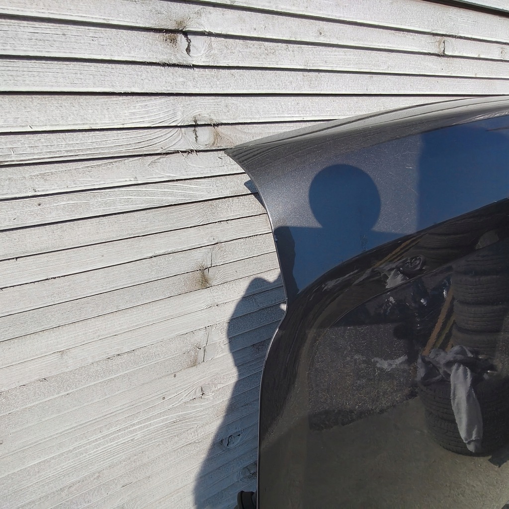 фото №12, Дверь задние задняя левая fiat doblo ii maxi полный